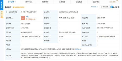 文化信息咨询 连接过去与未来的桥梁